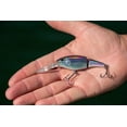 thumbnail image 6 of Berkley Flicker Shad Jointed Fishing Lure, HD Blacknose Dace, 1/3 oz, 6 of 6
