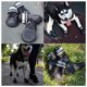 thumbnail image 4 of Botas impermeables para perros con detalles reflectantes, cómodas y transpirables, talla 2, color negro, material de cuero, ideales para proteger las patas de tu mascota., 4 of 7
