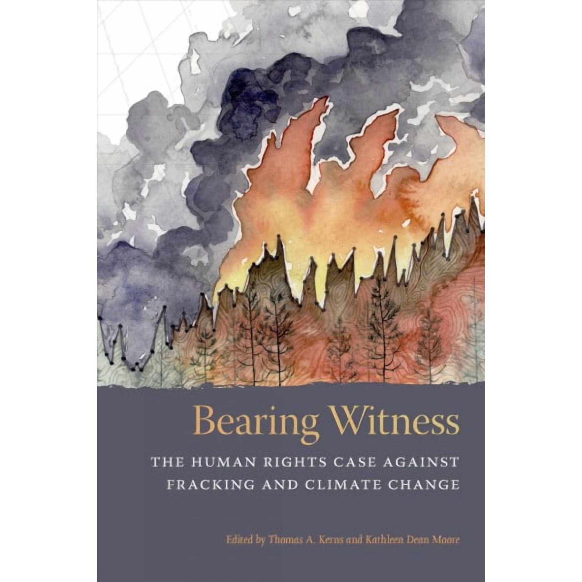 Bearing Witness : The Human Rights Case Against Fracking and Climate Change (Paperback)