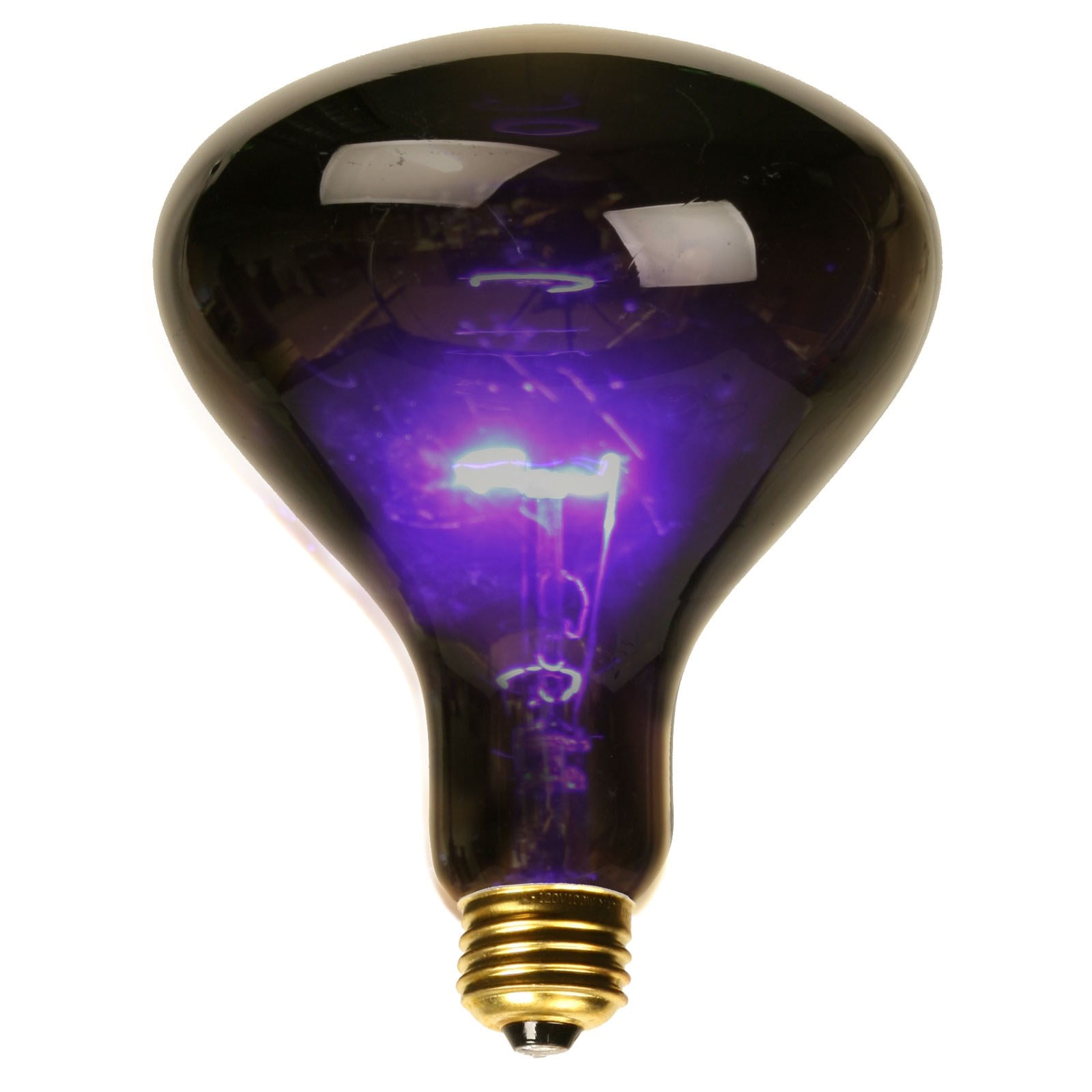 small black light bulbs