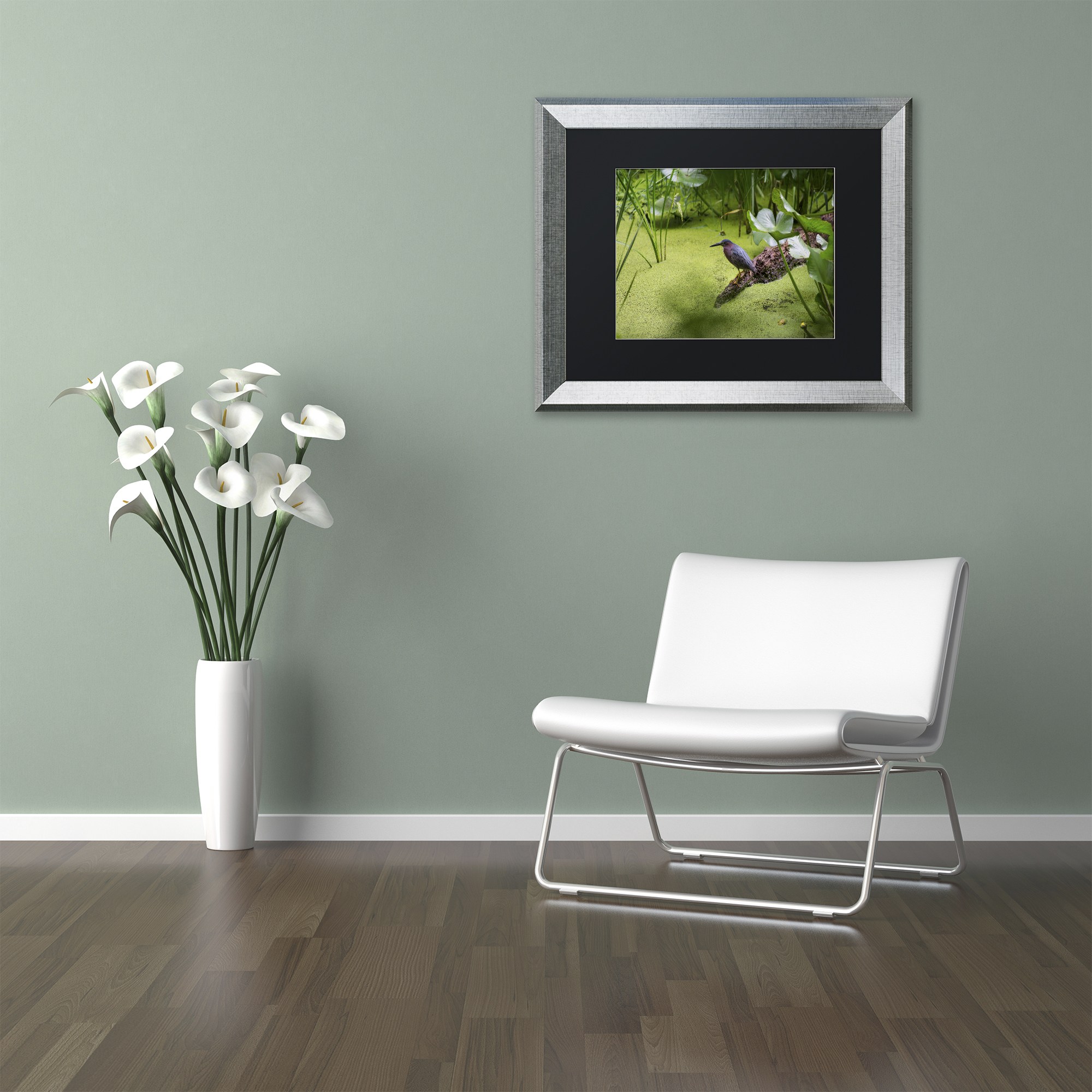 Trademark Fine Art "Green Heron" Canvas Art by Kurt Shaffer, Black Matte, Silver Frame