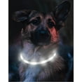 thumbnail image 3 of Light Up Dog Collar,LED Flashing Dog Collar for Night Walking, Rechargeable Glow Collars for Puppy Small Medium and Large Dogs, 3 of 8