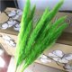thumbnail image 2 of Monstrate 15 Pieces Small Dried Flower Branch Props Festival Home Photography Decoration Bedroom Birthday Wedding Celebration Kits de decoración para fiestas No.2, 2 of 6