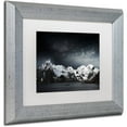 thumbnail image 2 of Trademark Fine Art "Need The Sun To Break" Canvas Art by Philippe Sainte-Laudy, White Matte, Silver Frame, 2 of 4
