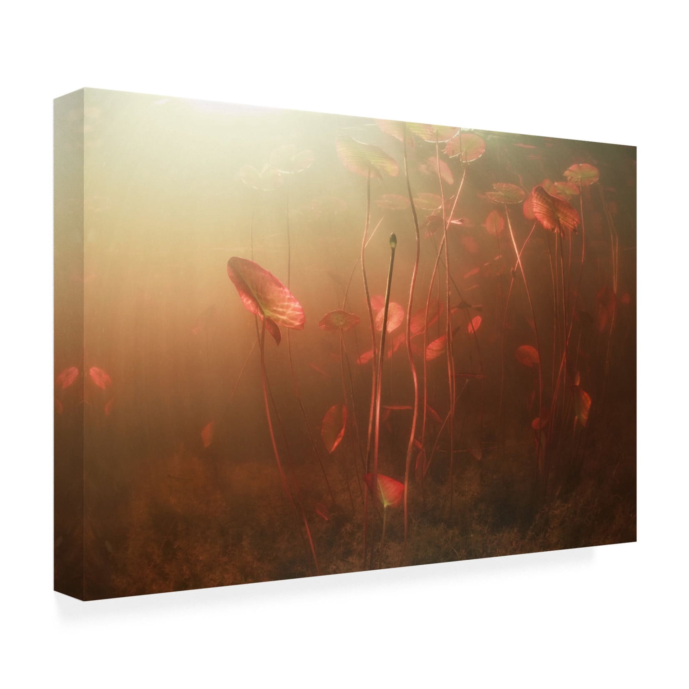Canvas Wall Art - Andrey Narchuk 'Lines World' Wall Art for Living Room, Bedroom, or Office D?cor by Trademark Fine Art - 19 x 12 Inches