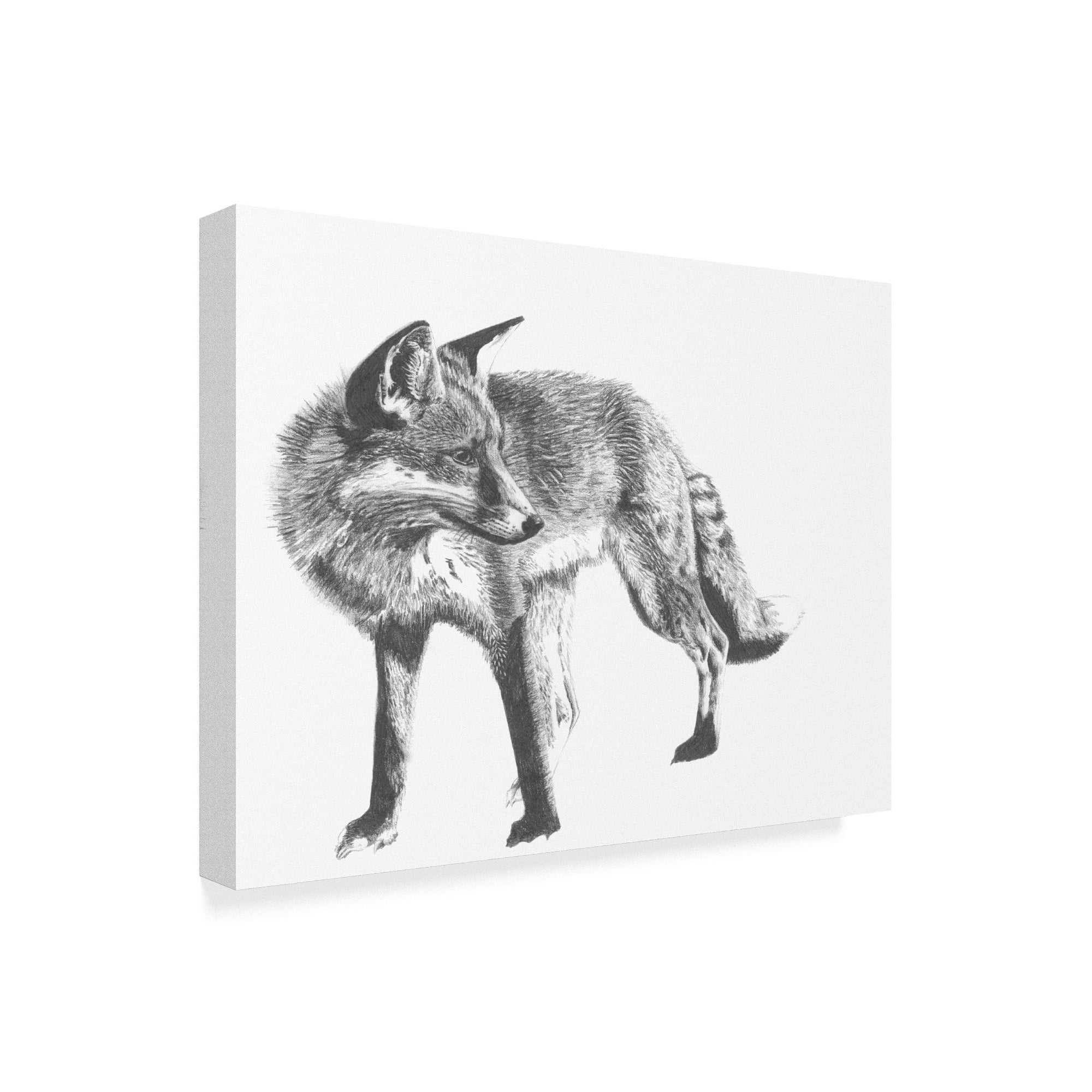 Trademark Fine Art 'Wildlife Snapshot: Fox' Canvas Art by Naomi McCavitt