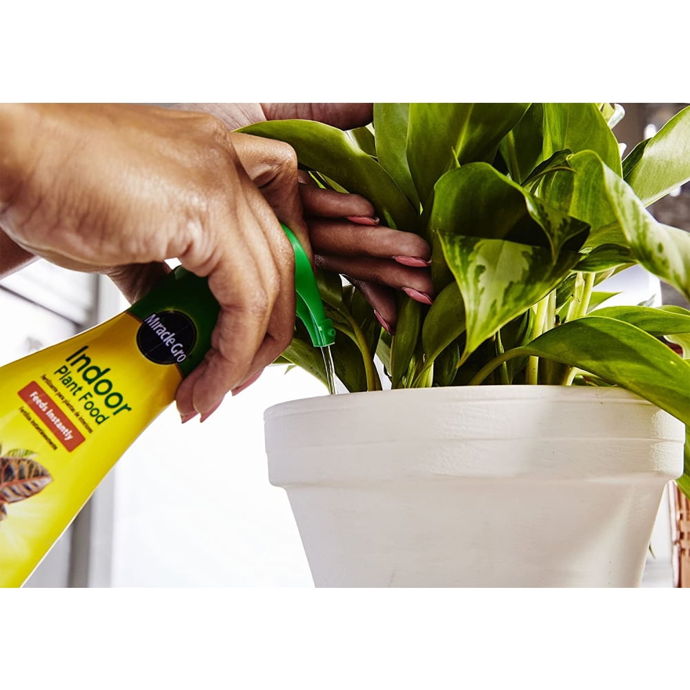 Miracle Gro Indoor Plant Food Fertilizer Feeds Instantly 8 oz Liquid Pump, 3-Pack