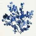 thumbnail image 3 of Warren, Annie 12x12 Black Modern Framed Museum Art Print Titled - Cobalt Blossom I, 3 of 5