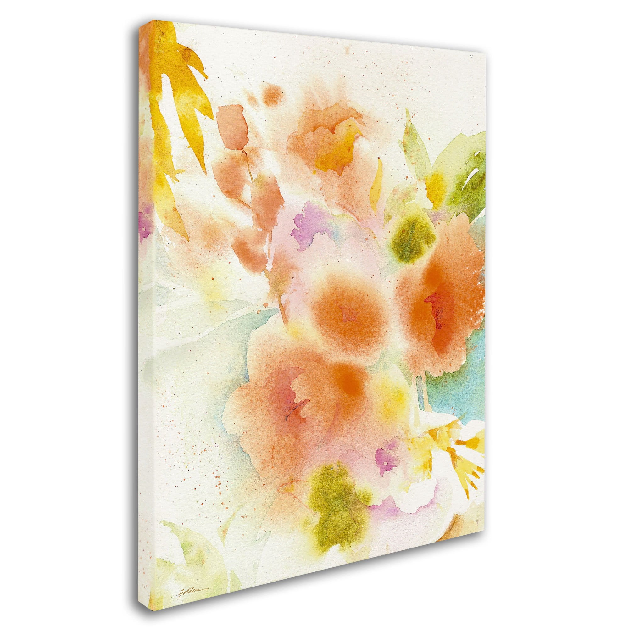 Trademark Fine Art "Orange Reflection" Canvas Art by Sheila Golden
