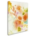 thumbnail image 3 of Trademark Fine Art "Orange Reflection" Canvas Art by Sheila Golden, 3 of 4