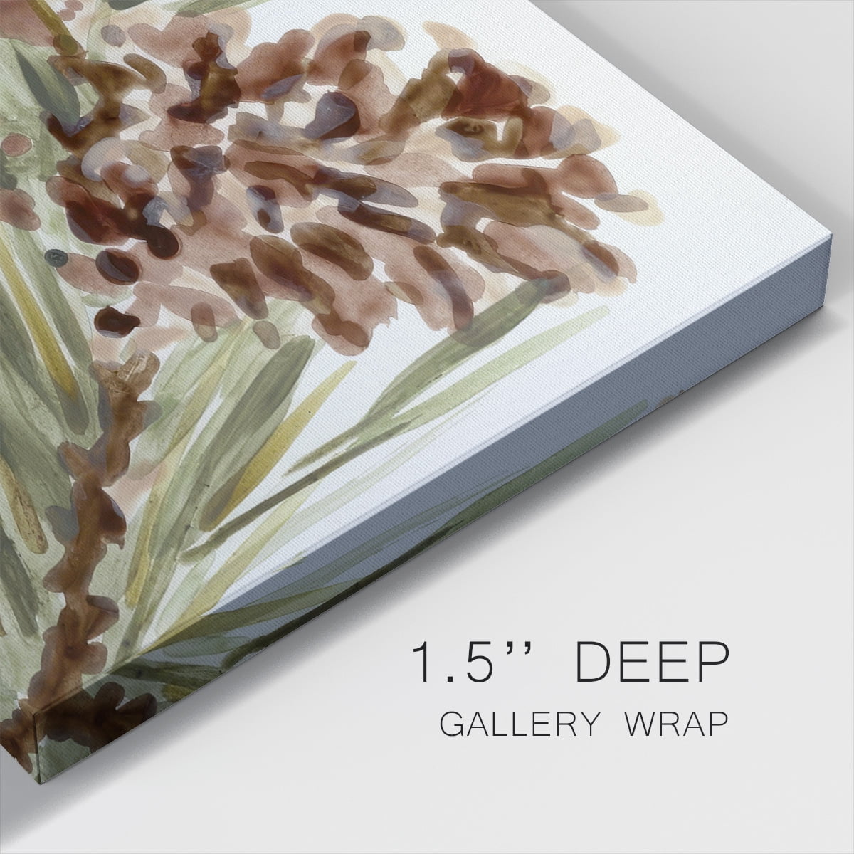 Simple Pine Cone I- Gallery Wrapped Canvas