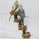 thumbnail image 5 of Escalera de 4 escalones para pájaros de juguete, suministros para pájaros, utensilios, plataforma de soporte, plataforma de madera para pimienta, jaula para loros, juguete de escalada Sailing Electrónica, 5 of 5
