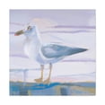 thumbnail image 1 of Sea's Glorious Gull - Canvas, 1 of 10