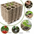 thumbnail image 4 of Innens Seed Starter Tray Peat Pots Kit Biodegradable Germination Seedling Trays 144Cell, 4 of 9