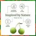 thumbnail image 3 of SVA Tamanu Seed Oil - 16 Fl Oz – 100% Natural Cold Pressed Tamanu Oil - for Face, Skin Care, Hair Care, Scalp Massage & Body Massage – Carrier Oil, 3 of 7