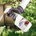 thumbnail image 3 of Bonide Captain Jack's Rose Rx 4-in-1 Insect & Disease Control, 16 oz Ready-to-Use Spray Neem Oil for Organic Gardening, 3 of 8