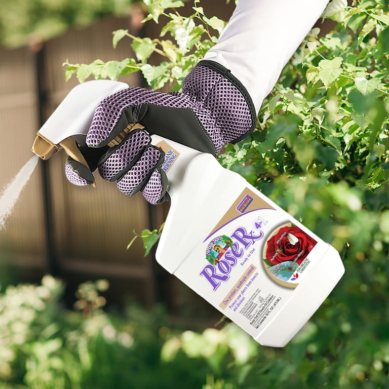 Captain Jack's 16 oz Rose Rx Fungicide Insecticide Miticide
