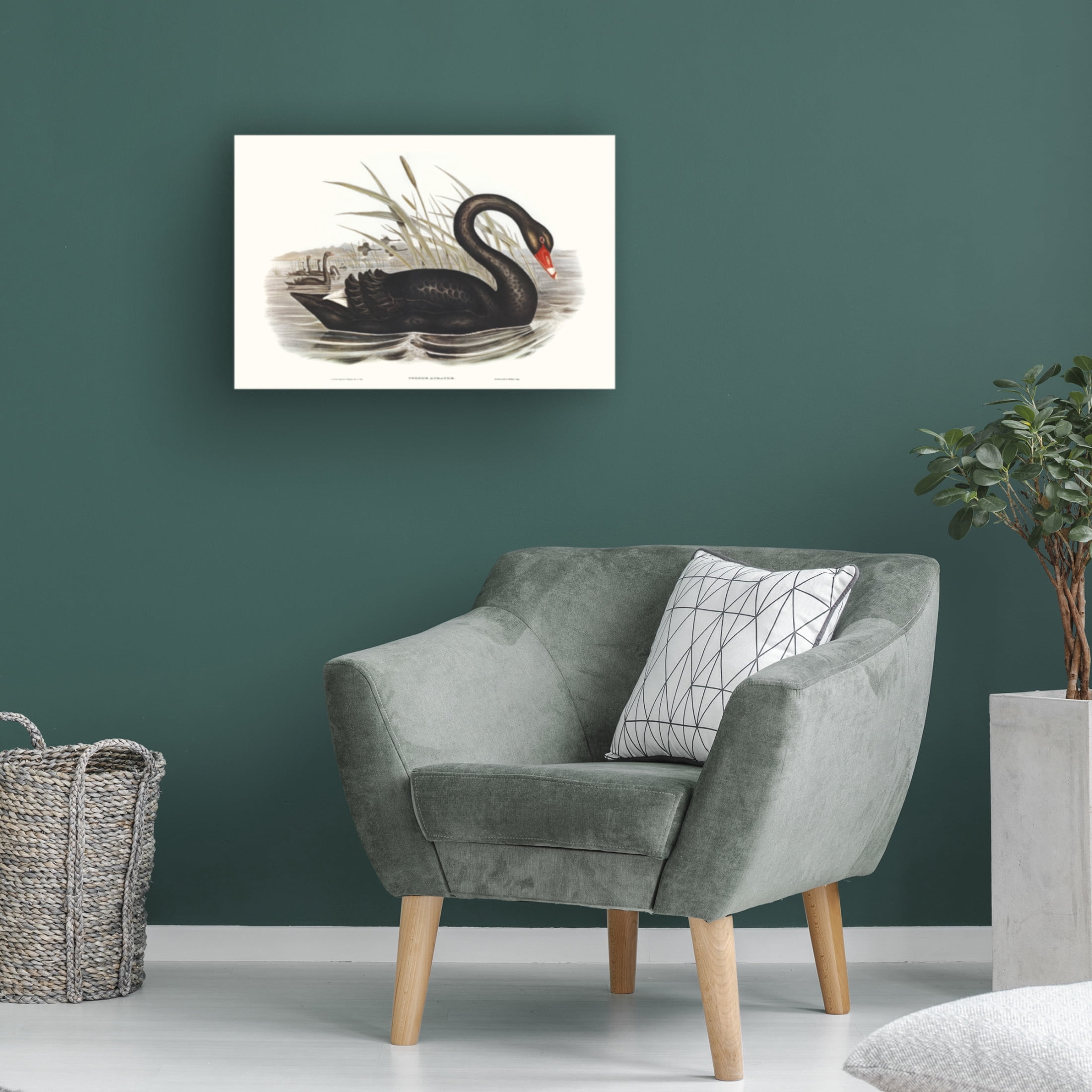 Trademark Fine Art Elizabeth Gould  Majestic Waterbird III Canvas Wall Art