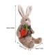 thumbnail image 5 of KAKOWELY Conejo de Pascua decorativo de peluche, adorable muñeco de conejito de Pascua de peluche, 5 of 5