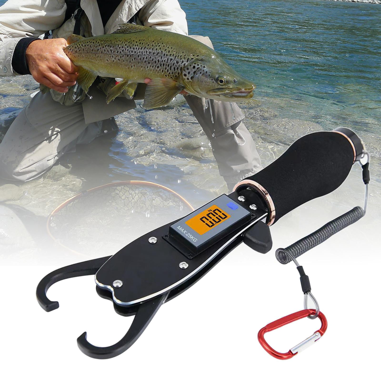 Fish Gripper for Fishing, Fish Holder with Electronic Scale, Fishing Gear Gift, Fish Control Tackle, Fish Lip Grip Tool, Fish Lip Grabber