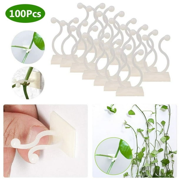 Toma 50Pcs Climbing Plant Fixture Clips Garden Vines Sticky Clips Wall Vines Fixed Holder