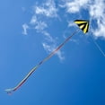 thumbnail image 2 of In the Breeze 3073 — 4' Tie Dye Delta Kite — Easy Flying, Single Line Kite for All Ages, 2 of 4