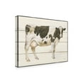 thumbnail image 2 of James Wiens 'Country Cow VII' Canvas Art, 2 of 3