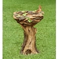 thumbnail image 3 of Plow & Hearth Succulent Bird Nest Tree Stump Birdbath, 3 of 5