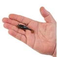 thumbnail image 5 of PowerBait® Agent E, 5 of 6