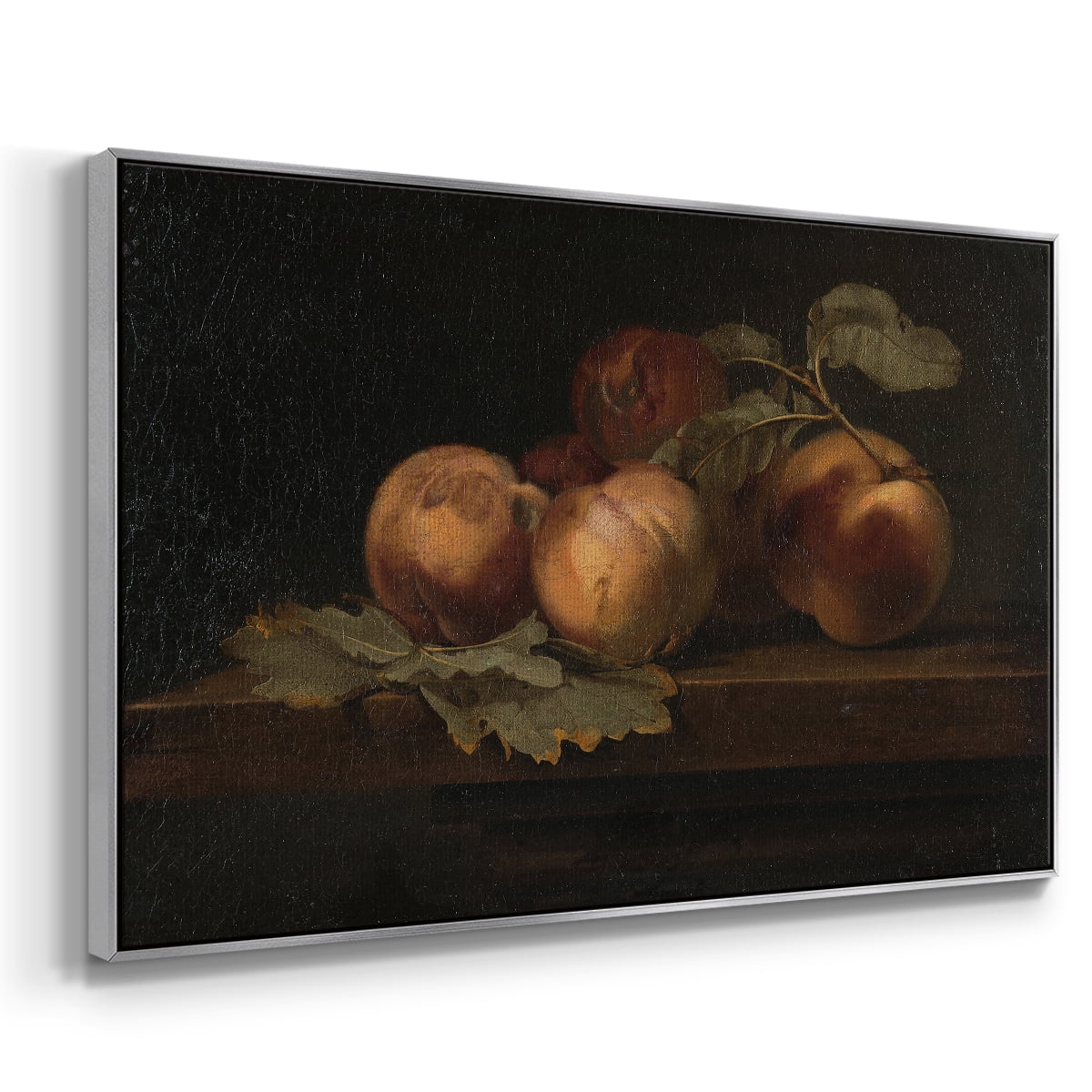 Vintage Botanical Print-LXXIX By Wexford Home Framed in Silver Wood Gallery Wrapped Canvas 17 in. x 25 in.