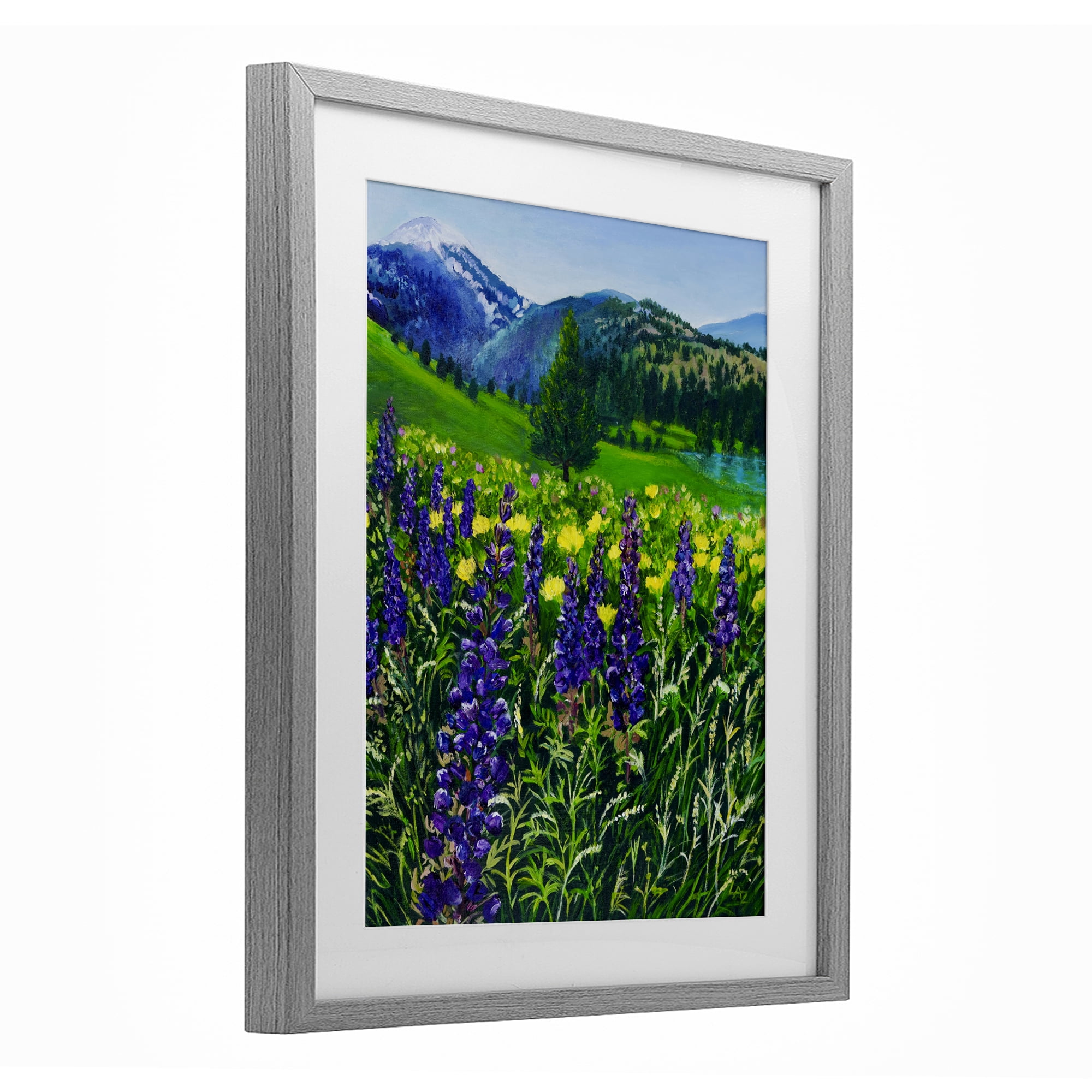 Stupell Industries Flower Speckled Valley Gray Framed Print Under Glass, design by Lee Ann Zirbes