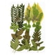 thumbnail image 1 of Conjunto de plantas secas Yuarrent Calcomanía hoja real decoración hogar tipo 10 hojas verdes, 1 of 6