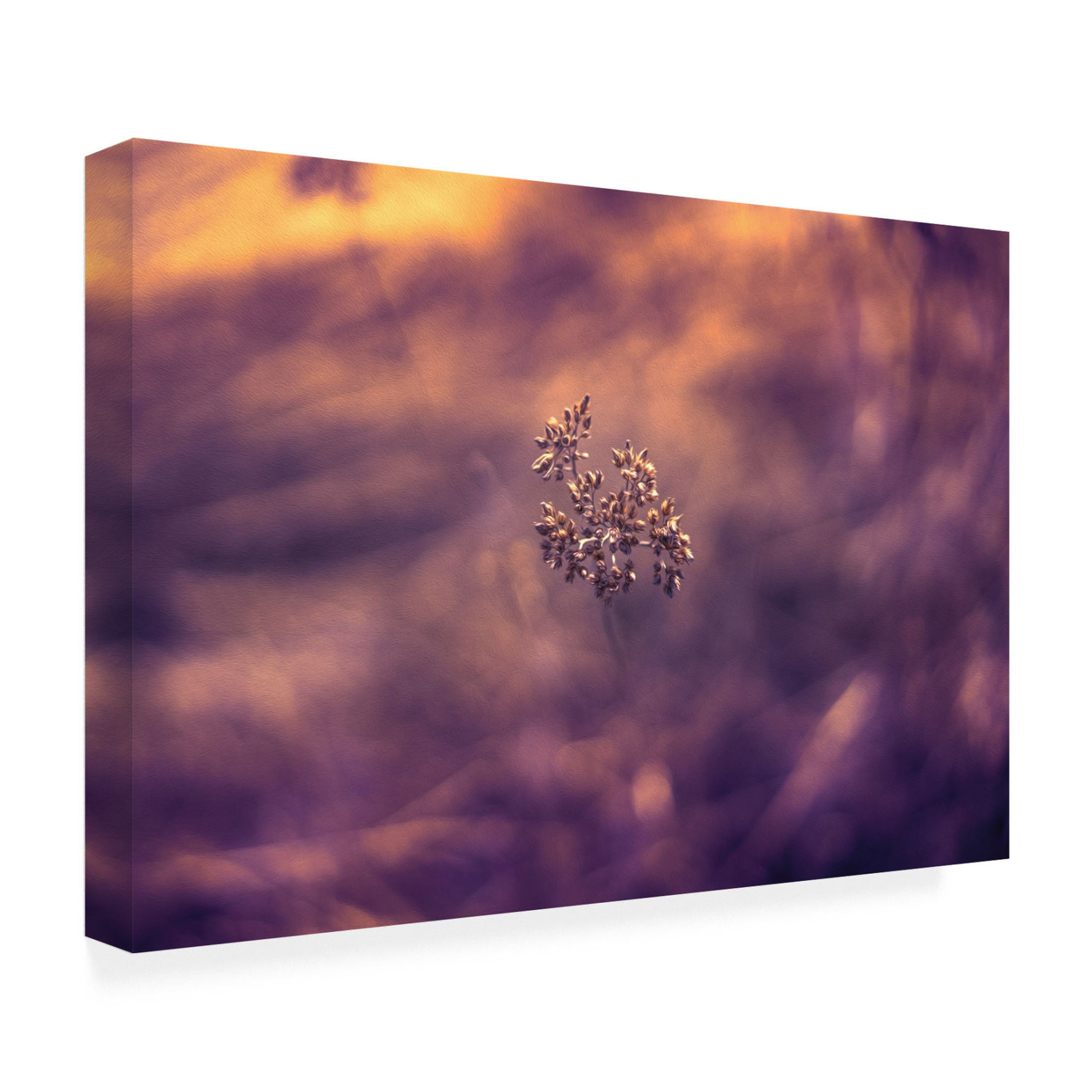 Canvas Wall Art - Ingo Menhard 'Violet Life' Wall Art for Living Room, Bedroom, or Office D?cor by Trademark Fine Art - 32 x 22 Inches