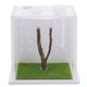 thumbnail image 1 of Caja transparente para arañas, hábitat para arañas saltarinas, caja acrílica para insectos, jaula acrílica para arañas saltarinas, caja de alimentación, contenedor para arañas insectos, 1 of 8