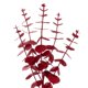 thumbnail image 2 of Corona Artificial de Eucalipto con Brillo Roja Vickerman 61 cm, 2 of 4