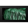 thumbnail image 2 of Phillip, Jamie 14x9 Black Modern Framed Museum Art Print Titled - Palm Branch, 2 of 5