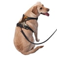 thumbnail image 2 of Vsdgher Funny Bald Eagle Pattern Dog Harness,No Pull Pet Harness with Soft Padded Handle,Adjustable Reflective Vest with 2 Buckles,4 Slide Buckles,S-XL Medium, 2 of 5