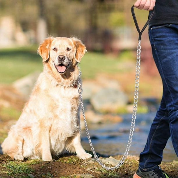 Metal dog chain lead deals