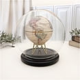 thumbnail image 2 of Plymor 6" x 7" Glass Display Dome Globe Cloche (Black MDF Wood Base), Pack of 2, 2 of 2