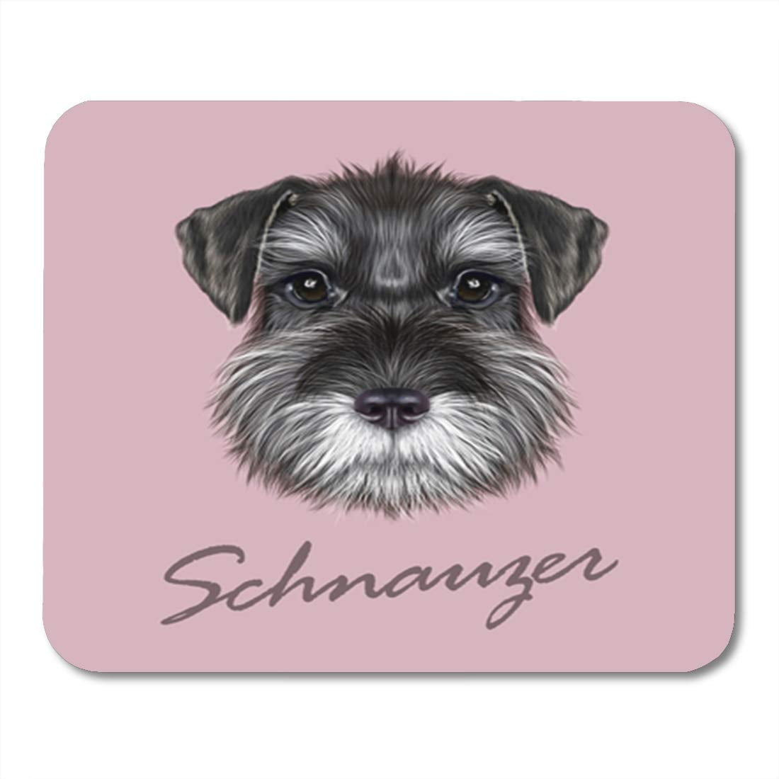 samsonite xenon business zip portfolio