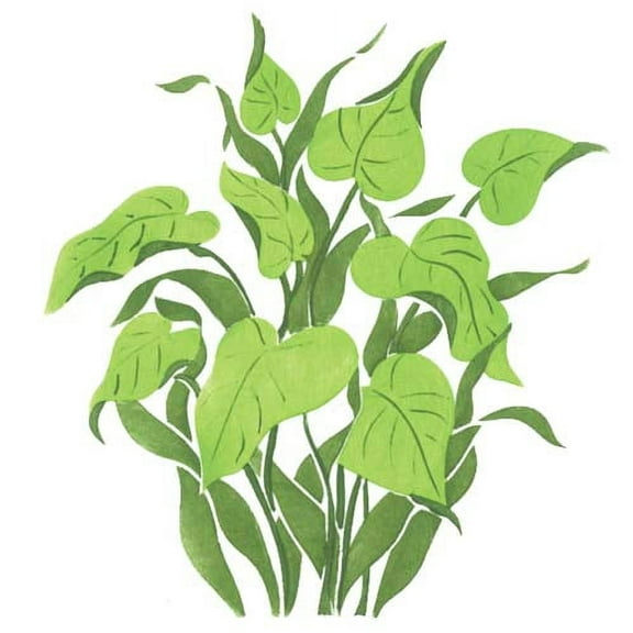Green Tropical Plant Wall Stencil SKU #1737 by Designer Stencils