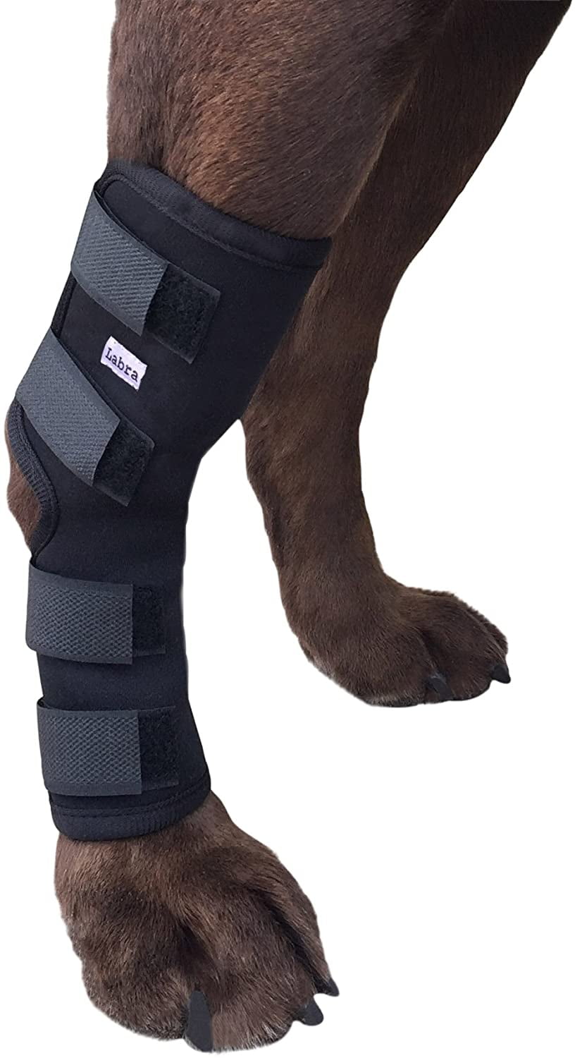 Labra Extra Supportive Dog Canine Rear Leg Hock Joint Wrap with Flex
