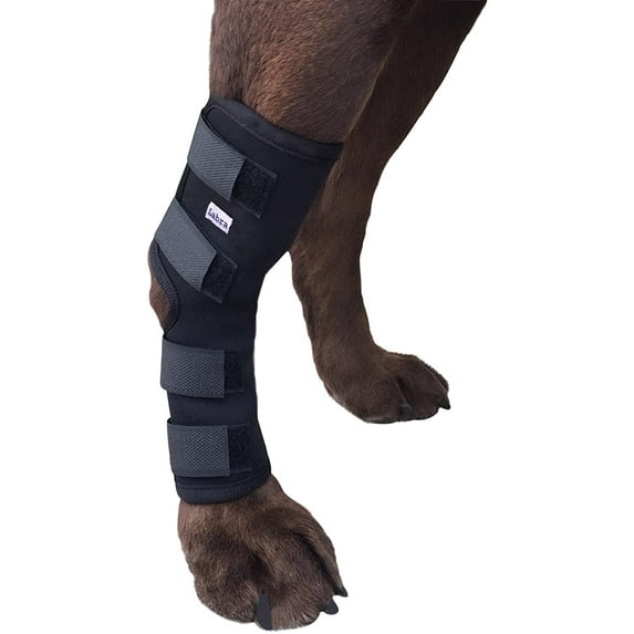 Labra Extra Supportive Dog Canine Rear Leg Hock Joint Wrap with Flex Straps Protects Wounds as They Heal Compression Brace Heals and Prevents Injuries and Sprains Helps Arthritis