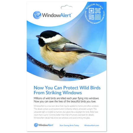 Nba Window Decals - Window Alert 4 Modern Square Decals Protect Wild Birds