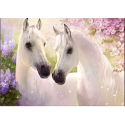 Gououd 5D diamond painting, painting by numbers, 5D DIY diamond painting, diamond painting set two white horses, canvas, wall decoration, 30 * 40 cm