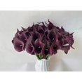 thumbnail image 1 of 20pcs Artificial Calla Lily Silk Flowers Mother's Day Gift 13.4" for Home Kitchen Wedding Table Decoration, 1 of 2