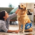 thumbnail image 5 of Wegreeco Pack of 5 Reusable Male Dog Belly Band, Washable Premium Male Dog Diapers, Super-Absorbent Dog Wraps,Space,Bones,XL, 5 of 7