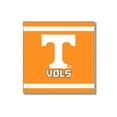 thumbnail image 5 of Tennessee Vols 88 Pcs Disposable Bulk Party Supplies For 20 Guests, 5 of 6