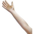 thumbnail image 1 of Tapp C. Classic Adult Size 22"Long Opera Length Satin Gloves - Champagne, 1 of 3
