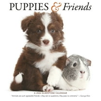 Puppies & Friends: 12x12 Wall, (Paperback)